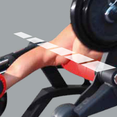 Características Freeweight HP - Panatta