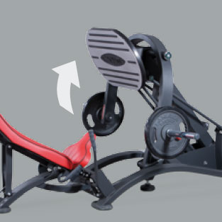 Características Freeweight HP - Panatta